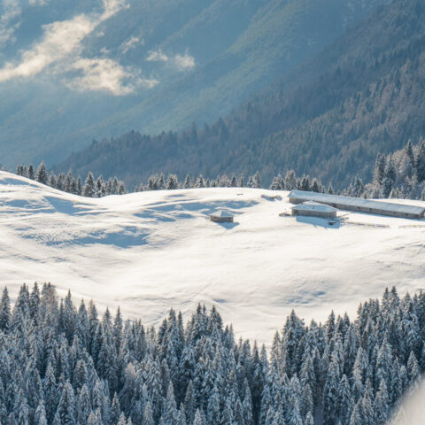 Slidinėjimas Italijoje – Madonna di Campiglio & Pinzolo
